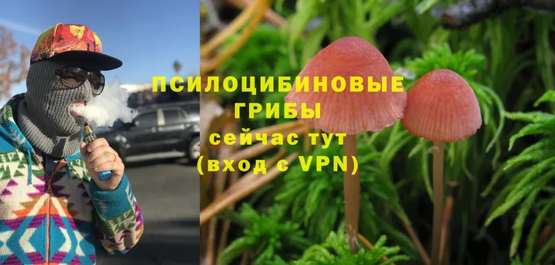 Галлюциногенные грибы MAGIC MUSHROOMS  Струнино 